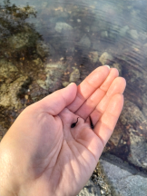 JULIE＆ANNA Tokyo - まなの女の子ブログ画像