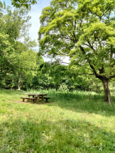 JULIE＆ANNA Tokyo - まなの女の子ブログ画像