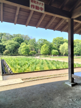 JULIE＆ANNA Tokyo - まなの女の子ブログ画像