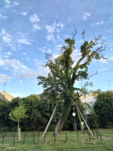 JULIE＆ANNA Tokyo - まなの女の子ブログ画像