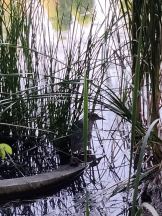 JULIE＆ANNA Tokyo - まなの女の子ブログ画像