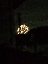 JULIE＆ANNA Tokyo - まなの女の子ブログ画像