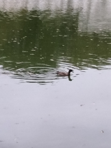 JULIE＆ANNA Tokyo - まなの女の子ブログ画像