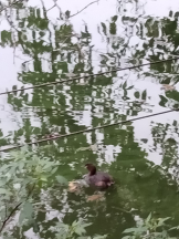 JULIE＆ANNA Tokyo - まなの女の子ブログ画像