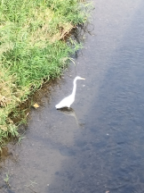 JULIE＆ANNA Tokyo - まなの女の子ブログ画像