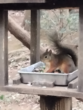 JULIE＆ANNA Tokyo - まなの女の子ブログ画像