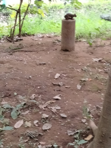 JULIE＆ANNA Tokyo - まなの女の子ブログ画像