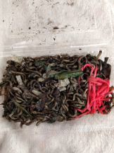 JULIE＆ANNA Tokyo - まなの女の子ブログ画像