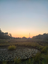 JULIE＆ANNA Tokyo - まなの女の子ブログ画像