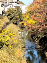 JULIE＆ANNA Tokyo - まなの女の子ブログ画像