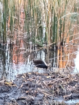 JULIE＆ANNA Tokyo - まなの女の子ブログ画像