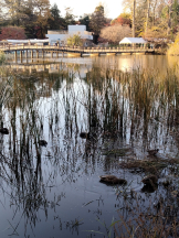 JULIE＆ANNA Tokyo - まなの女の子ブログ画像