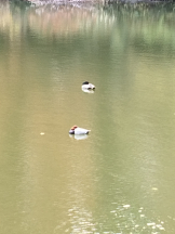 JULIE＆ANNA Tokyo - まなの女の子ブログ画像