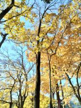 JULIE＆ANNA Tokyo - まなの女の子ブログ画像