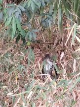 JULIE＆ANNA Tokyo - まなの女の子ブログ画像