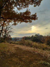 JULIE＆ANNA Tokyo - まなの女の子ブログ画像