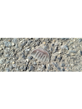 JULIE＆ANNA Tokyo - まなの女の子ブログ画像