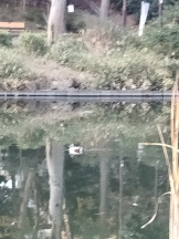 JULIE＆ANNA Tokyo - まなの女の子ブログ画像