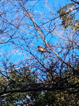 JULIE＆ANNA Tokyo - まなの女の子ブログ画像