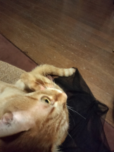 JULIE＆ANNA Tokyo - まなの女の子ブログ画像