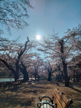 JULIE＆ANNA Tokyo - まなの女の子ブログ画像