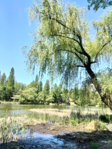 JULIE＆ANNA Tokyo - まなの女の子ブログ画像