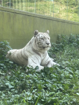 CLUB KAKUREGA - みいの女の子ブログ画像