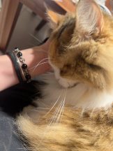 CLUB KAKUREGA - ことはの女の子ブログ画像