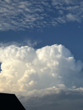 CLUB KAKUREGA - せりなの女の子ブログ画像