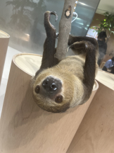 CLUB KAKUREGA - せりなの女の子ブログ画像