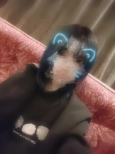 club ARIA - あいの女の子ブログ画像