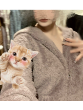 武蔵小杉 シュシュ - なのの女の子ブログ画像