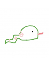 ときめき女学院 - ねねの女の子ブログ画像