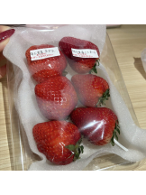 ときめき女学院 - ねねの女の子ブログ画像