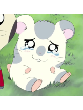 ときめき女学院 - しほの女の子ブログ画像