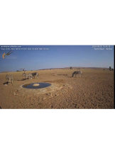 はっち 神田店 - あかねの女の子ブログ画像