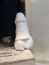 club J - シオンの女の子ブログ画像