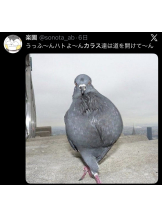 ギャルゲッチュ 藤沢 - りのの女の子ブログ画像