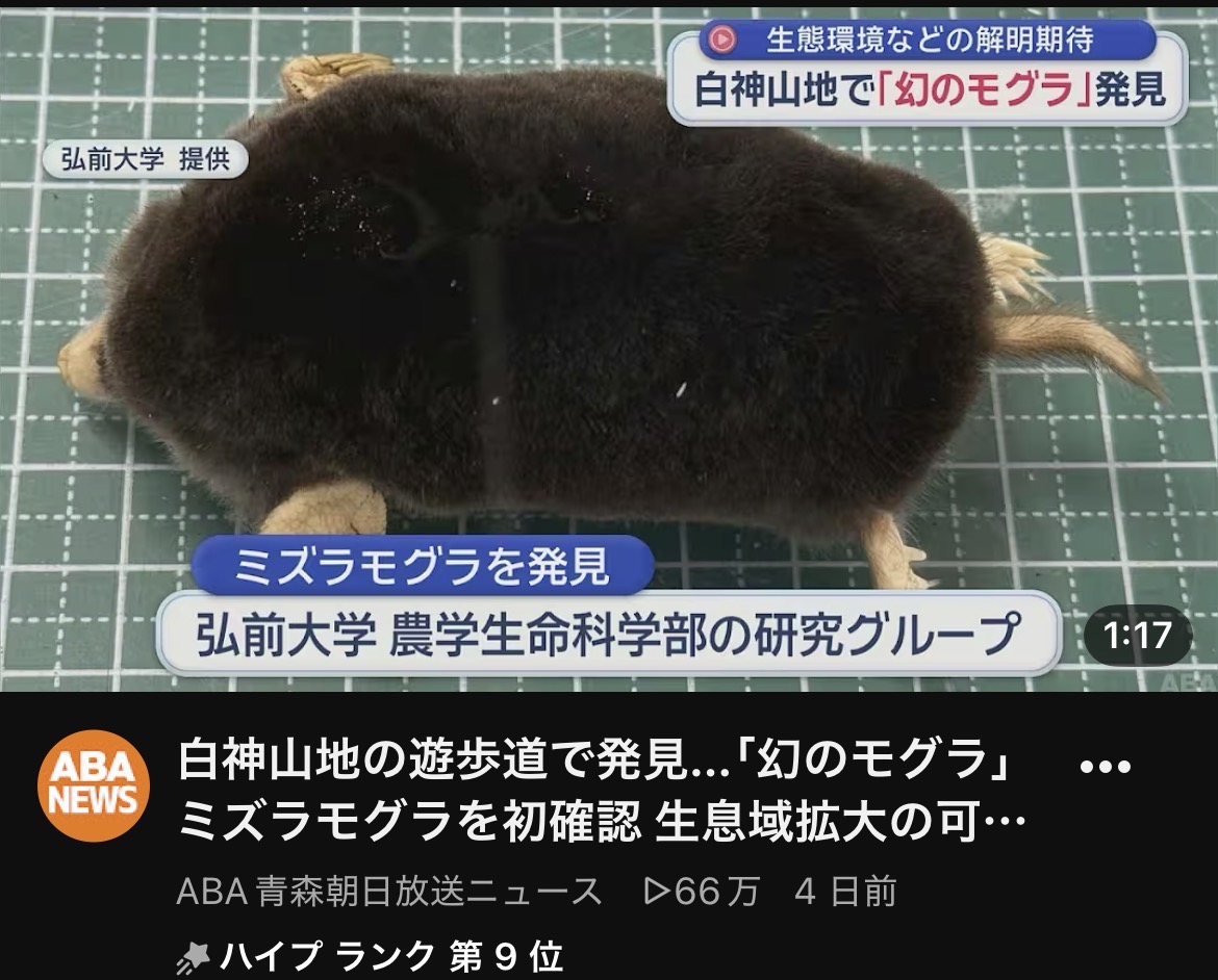 女の子ブログ添付画像1