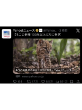 ギャルゲッチュ 藤沢 - りのの女の子ブログ画像