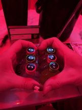 はっち 神田店 - まるの女の子ブログ画像