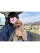 はっち 神田店 - まるの女の子ブログ画像