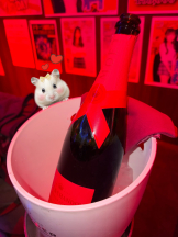 はっち 神田店 - まるの女の子ブログ画像