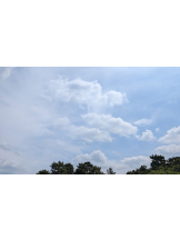 さくらん　関内 - あんなの女の子ブログ画像