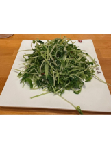 ZOOM - ヒナノの女の子ブログ画像