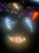 ZOOM - ヒナノの女の子ブログ画像