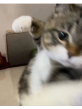 ZOOM - ヒナノの女の子ブログ画像