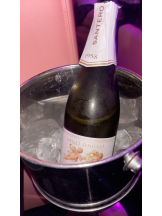 みつばちマーヤZ - めるの女の子ブログ画像