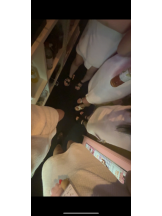 みつばちマーヤZ - めるの女の子ブログ画像