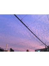 みつばちマーヤZ - めるの女の子ブログ画像